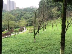 -龙头寺公园