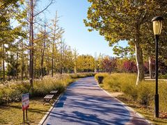 -羊亭河湿地公园