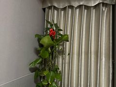 -百玺足道·按摩·SPA(航洋店)