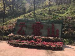 -木兰云雾山