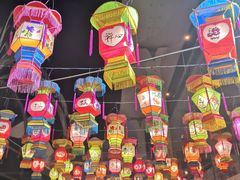 -锦江乐园舞狸花花游园会(夜场专享)