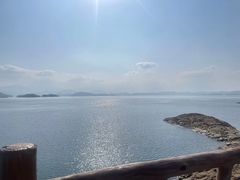 -东寨港红树林旅游区