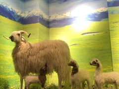 -清真·益鑫羊肉手抓馆(花园北街店)