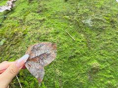 -浮山风景名胜区