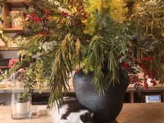 -自由生长植物工作室(深港花卉中心店)