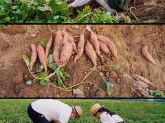 -汉长安城未央宫国家考古遗址公园