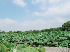 -梁鸿国家湿地公园