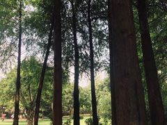 -晓港公园