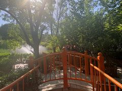 -太阳宫公园