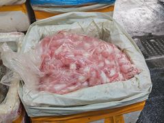 -众彩物流水产市场