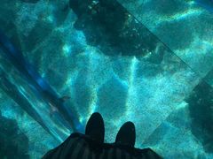 -暹罗海洋世界