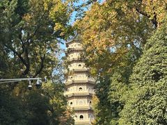 -灵谷景区