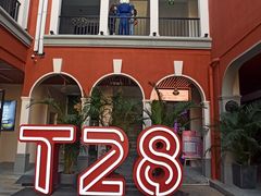 -T28PARK公园里