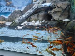-海合安青岛极地海洋公园