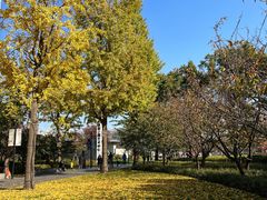 靠近石门二路的门-静安雕塑公园