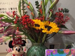-花鸟鱼虫鲜花绿植市场(玉泉路店)