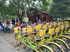 -长白岛森林公园