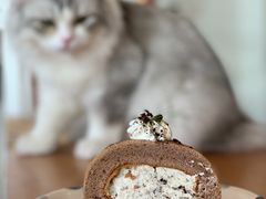 奥利奥咸奶油蛋糕卷-猫小主咖啡·猫咖cat cafe(福田店)