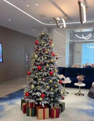 -深圳米兰柏羽医疗美容医院