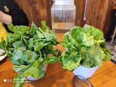 -云朵石锅鱼·野生菌餐厅(蒗放店)