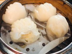 虾饺-点点心点心专门店(湾仔店)