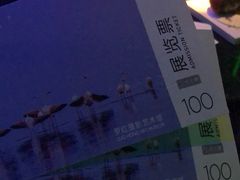 -BLACKSWAN黑天鹅(环球店)