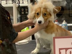 -1013 PET SHOP 宠物商店(近铁城市广场店)