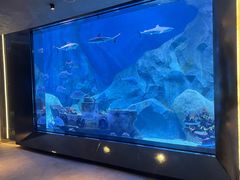 -渔火·特色餐厅(佘山世茂洲际酒店)