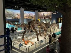 -国家自然博物馆