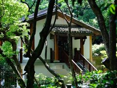 -简象咖啡CAFE ELE JANE(满陇桂雨店)