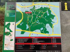 -火炉山森林公园