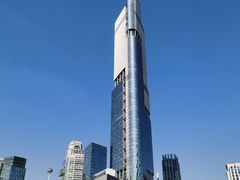 -紫峰大厦