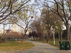 -泰丰公园