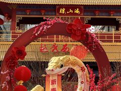 -越秀西湖花市(广州城市广场花卉店)