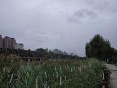 -西安汉城湖景区