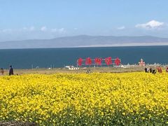 -青海湖国家重点风景名胜区