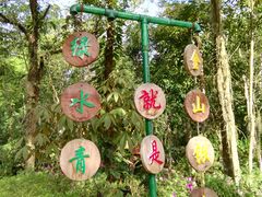 -莫里热带雨林景区
