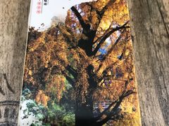 -南雄雄州土菜餐厅(粤北大厦店)