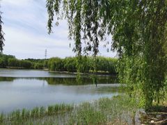 -东坝千亩湖公园