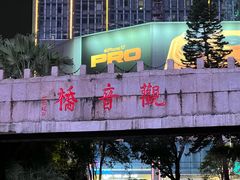 -丁家坡洋芋·观音桥好吃街A区(全国总店)