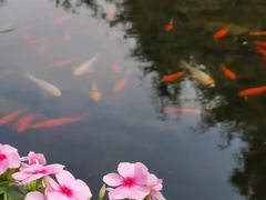 -白马涧龙池景区
