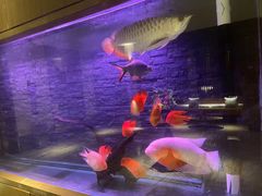 -手佳·水疗汇(嘉益店)