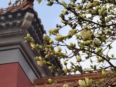 -北京市劳动人民文化宫(太庙)