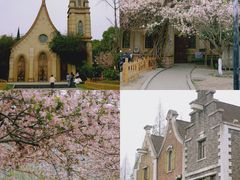 -成都南湖公园