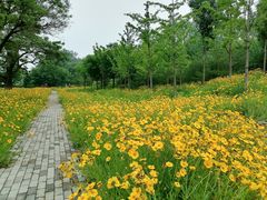 -北坞公园