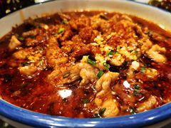 -小四川菜馆(托乐嘉店)