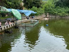 -合肥野生动物园