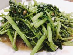 -绿光森林餐厅