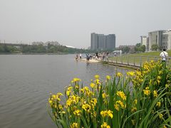 -美兰湖景区