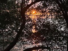 -宝安西湾红树林湿地公园